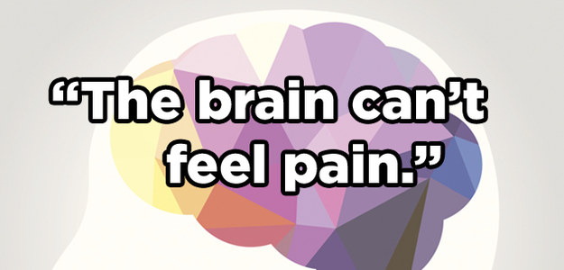 Can You Tell Whether These Brain "Facts" Are True Or False