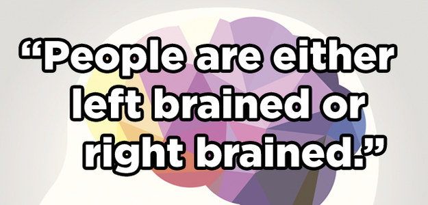 Can You Tell Whether These Brain "Facts" Are True Or False