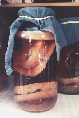 There's Something Horrifying In That Kombucha You're Drinking