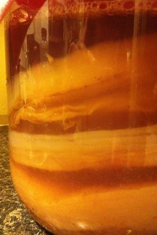 There's Something Horrifying In That Kombucha You're Drinking