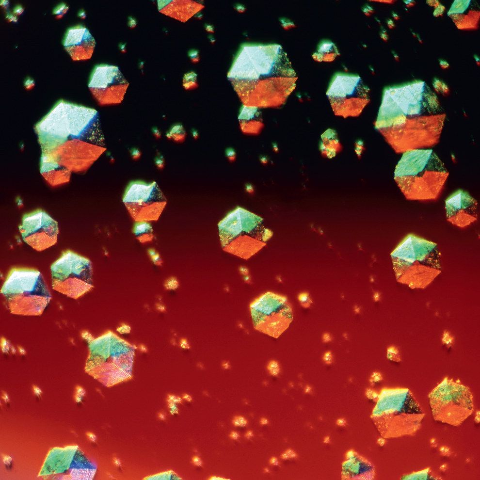These are insulin crystals.