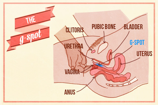 And here's how you or your partner might be able to find it: