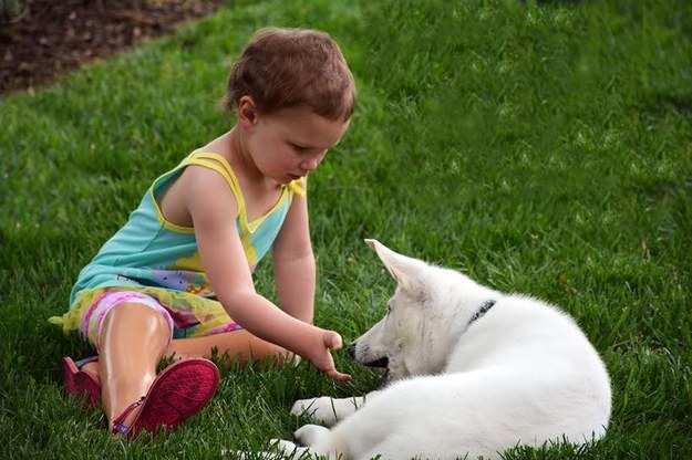 A Little Girl With No Feet Just Got A Puppy With No Paw