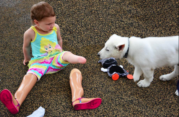 Johnson said Sapphyre noticed the puppy's difference immediately, and even took off her prosthetic leg to show him they were alike.