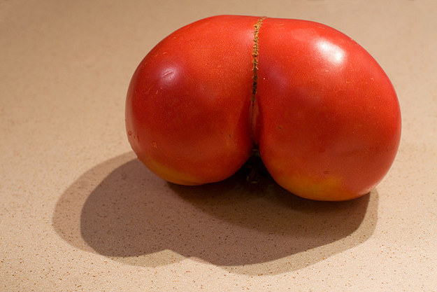 This bodacious tomato.