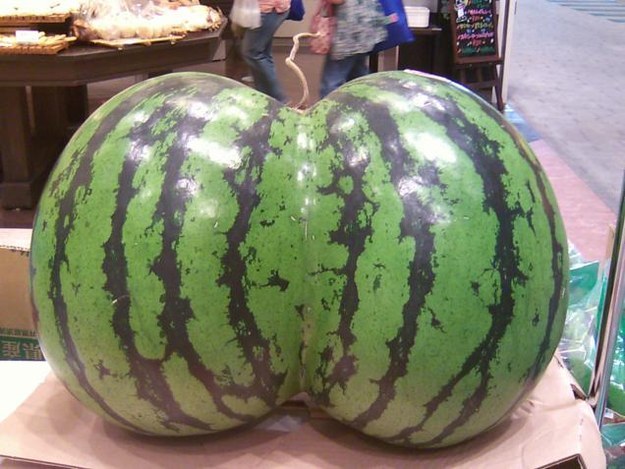 This “Oh my God Becky, look at her…” watermelon.