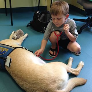 Couldn’t you get one of those diabetic alert dogs?